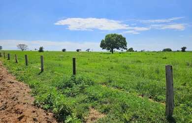 Imagem 14: Fazenda a venda, em Mundo Novo - Goiás