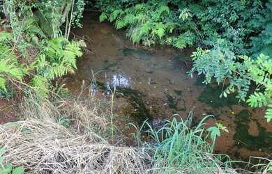 Imagem 5: Chacara, área de terra, sítio em Cafelândia