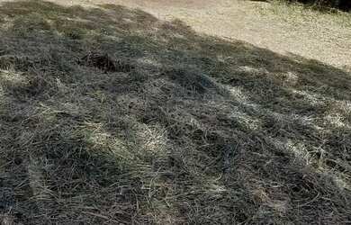 Imagem: O terreno possui 1.678m² de Área e está localizado em Vale