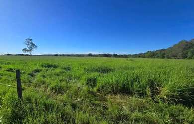 Imagem 3: Fazenda a venda, em Mundo Novo - Goiás