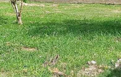 Imagem: O terreno à venda possui e está localizado em Guaratiba