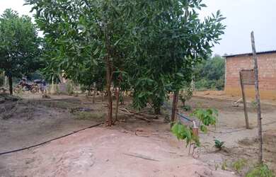 Imagem 4: Vendo terreno. 1.000m² de Área