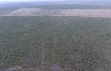 Imagem: A fazenda possui 3.100.000m² de Área e está localizado em