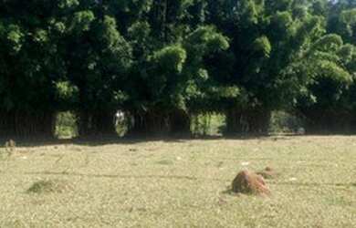 Imagem 2: Terreno em Atibaia. 500m² de Área