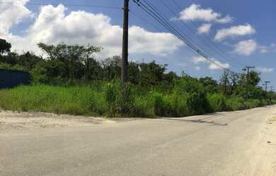 Imagem 3: Área Industrial - região retroportuária do Guarujá