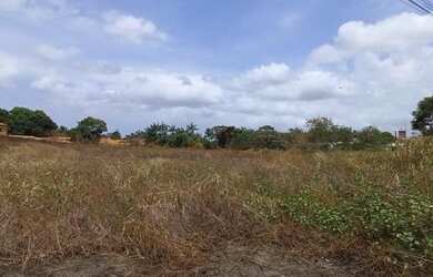 Imagem 4: Terreno para alugar, 7299 m² na BR 135 KM por R$ 15.000/mês - Maracanã...