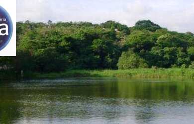 Imagem 2: Terreno residencial à venda, Fazendinha, Granja Viana