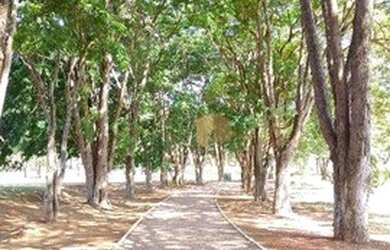 Imagem 5: Terreno à venda, 448 m² por R$ 330.000,00 - Residencial Reserva Santa...