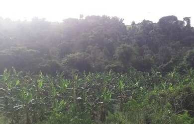 Imagem 15: LINDA FAZENDA EM STA CRUZ CABRALIA pertinho de PORTO SEGURO - BA