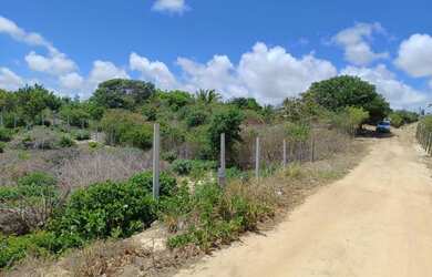 Imagem 1: Lote/Terreno para venda com 375 metros quadrados em Praia de Pipa - Tibau...