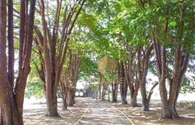 Imagem 4: Terreno à venda, 448 m² por R$ 330.000,00 - Residencial Reserva Santa...