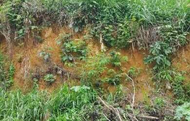 Imagem: O terreno possui 440m² de Área e está localizado em Quinta