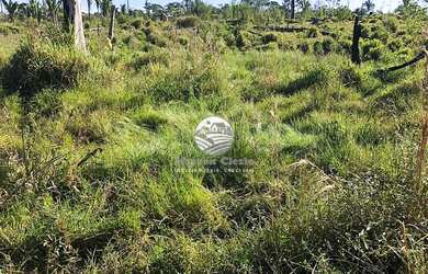 Imagem: A fazenda à venda possui e está localizado em Áreas Especiais