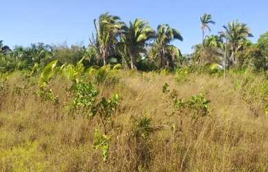 Imagem 5: 250 Alqs Rio Plana Varias Nascentes Região Mansinha TO