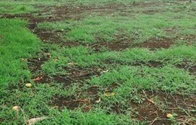 Imagem: A fazenda possui 255m² de Área e Imóvel novo e está localizado