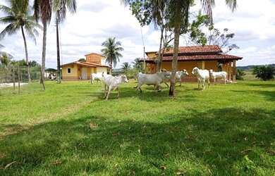 Imagem: A fazenda possui 43.000m² de Área, Piscina e está localizado
