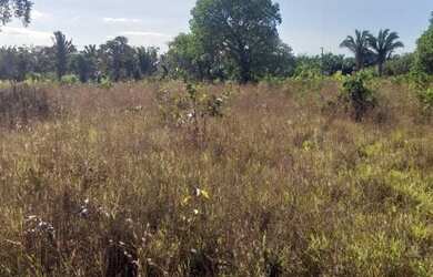 Imagem 2: 250 Alqs Rio Plana Varias Nascentes Região Mansinha TO
