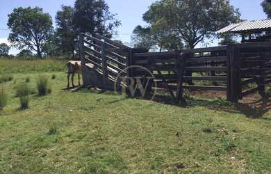 Imagem 2: Amaralina - Fazenda - Zona Rural