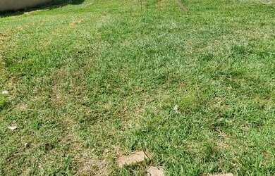 Imagem: O terreno possui 377m² de Área e está localizado em Terra