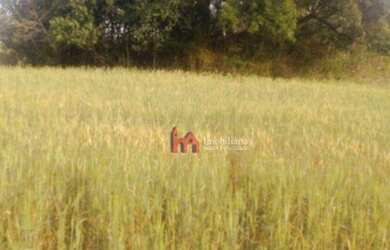 Imagem 11: Área à venda, 15125 m² por R$ 420.000,00 - Fazendinha - Campo Largo/PR