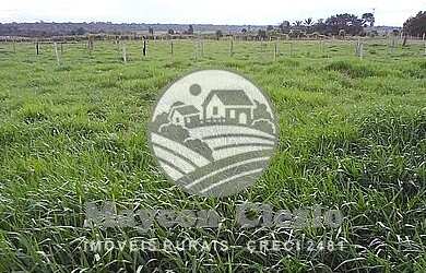 Imagem: A fazenda possui 530000m² de Área e está localizado em Machadinho