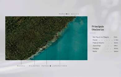 Imagem 3: Beira-mar na Rota Ecológica dos Milagres - Tatuamunha