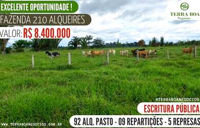 Imagem 1: FAZENDA 210 ALQUEIRES 92 ALQUEIRES ABERTO - ARIQUEMES
