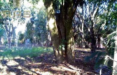 Imagem 8: Terreno para Venda na Vila Esperia ou Giglio em Atibaia