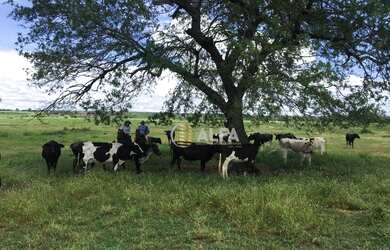 Imagem: A fazenda possui 11591800m² de Área e está localizado em