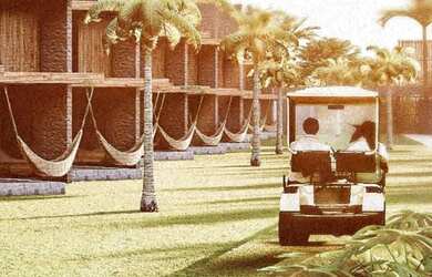 Imagem 10: Beira-mar na Rota Ecológica dos Milagres - Tatuamunha