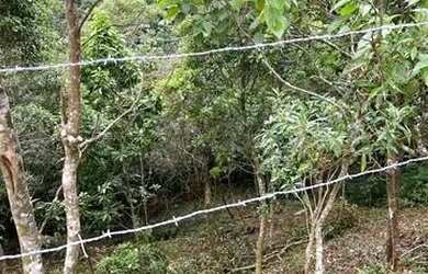 Imagem 9: Terreno / Lote 360m² - Siméria