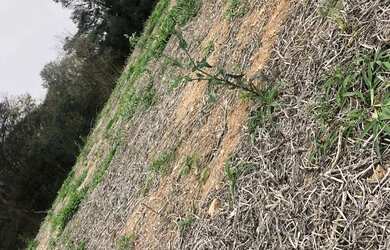 Imagem 15: Lote/Terreno para venda possui 500 metros quadrados em Usina - Atibaia...