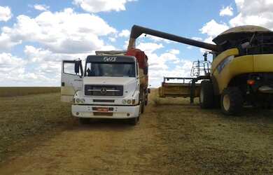 Imagem 8: FAZENDA PRODUTIVA COM 472HECTARES, HA 55KM DE UNAI