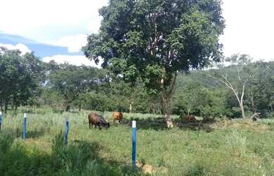 Imagem 9: Fazenda Minas Gerais Buritis