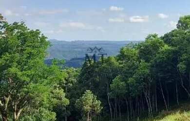 Imagem 5: Área de terra bairro Linha Imperial, Nova Petrópolis. RS Ref. 154