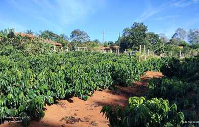 Imagem 8: Chácara espetacular para venda, escriturada e registrada