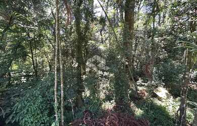 Imagem 6: Terreno a Venda em Canela