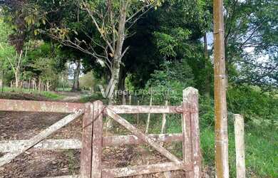 Imagem 7: sítio - Área Rural de Mogi Guaçu - Mogi Guaçu