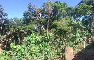 Imagem 4: 0 - Terreno - VILA VALQUEIRE