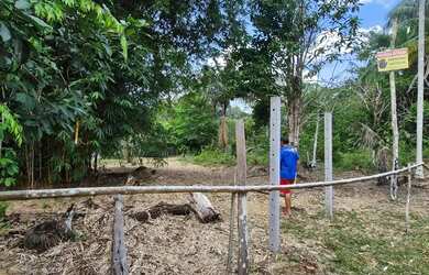 Imagem: O terreno possui 1000m² de Área e está localizado em Flores