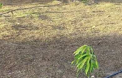 Imagem: O terreno possui 2.340m² de Área e está localizado em Santo