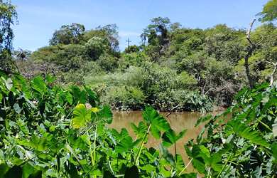 Imagem: A fazenda possui 120.000m² de Área e está localizado em