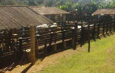 Imagem 11: Fazenda com 4 dormitórios à venda, 968000 m² por R$ 9.000.000,00 -...