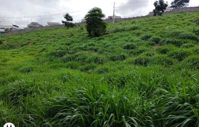 Imagem 5: Terreno à venda, 450 m² por R$ 170.000 - Jardim Alto de Santa Cruz -...