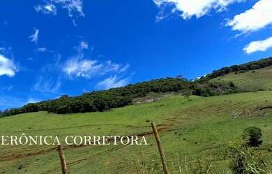 Imagem 2: Ótima fazenda à venda em São João Nepomuceno MG