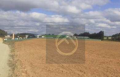 Imagem 2: Área à venda, 174000 m² por R$ 14.000.000,00 - Gralha Azul - Fazenda...