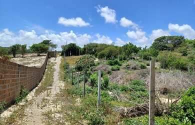 Imagem 4: Lote/Terreno para venda com 375 metros quadrados em Praia de Pipa - Tibau...
