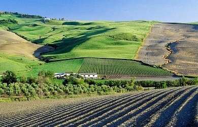 Imagem: A fazenda possui 200m² de Área, Imóvel novo e está localizado
