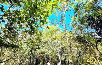 Imagem 11: Lote com vista livre permanente - Condomínio Santa Monica DF