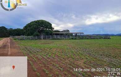 Imagem 16: Fazenda Garça Branca REGIÃO PETROVINA à venda, m² por R$ 22.000.000...